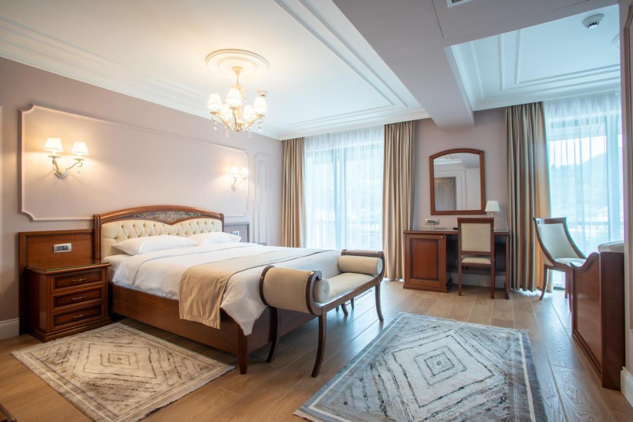 Hotel Gabriela Vişeu de Sus Zewnętrze zdjęcie