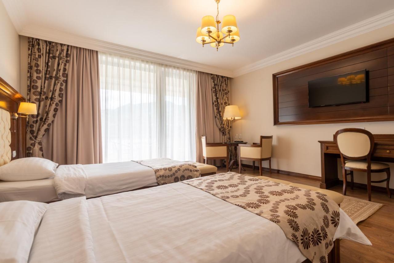 Hotel Gabriela Vişeu de Sus Zewnętrze zdjęcie