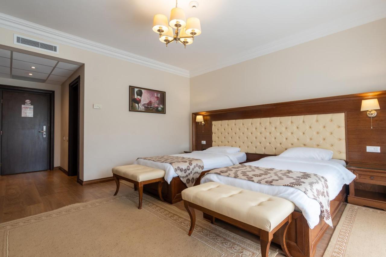 Hotel Gabriela Vişeu de Sus Zewnętrze zdjęcie