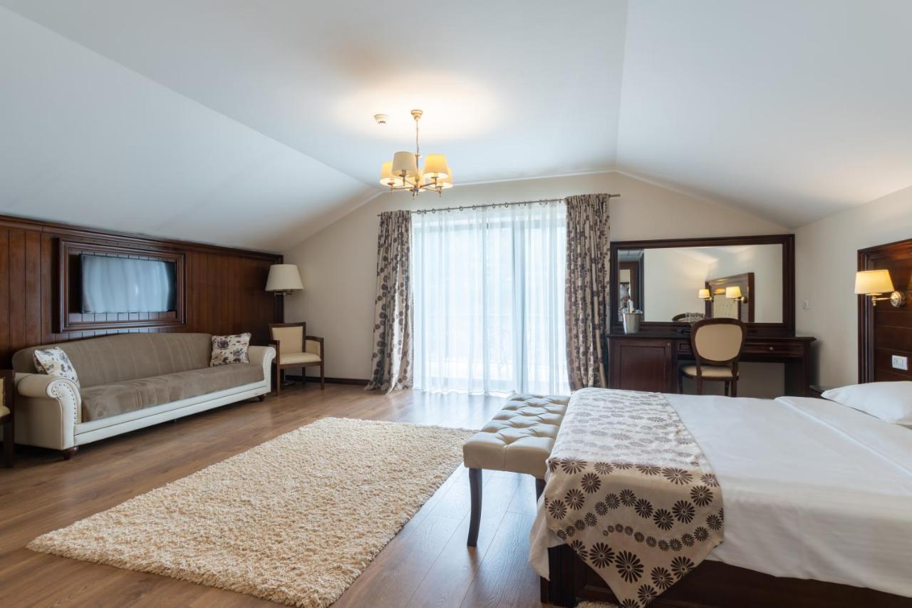 Hotel Gabriela Vişeu de Sus Zewnętrze zdjęcie