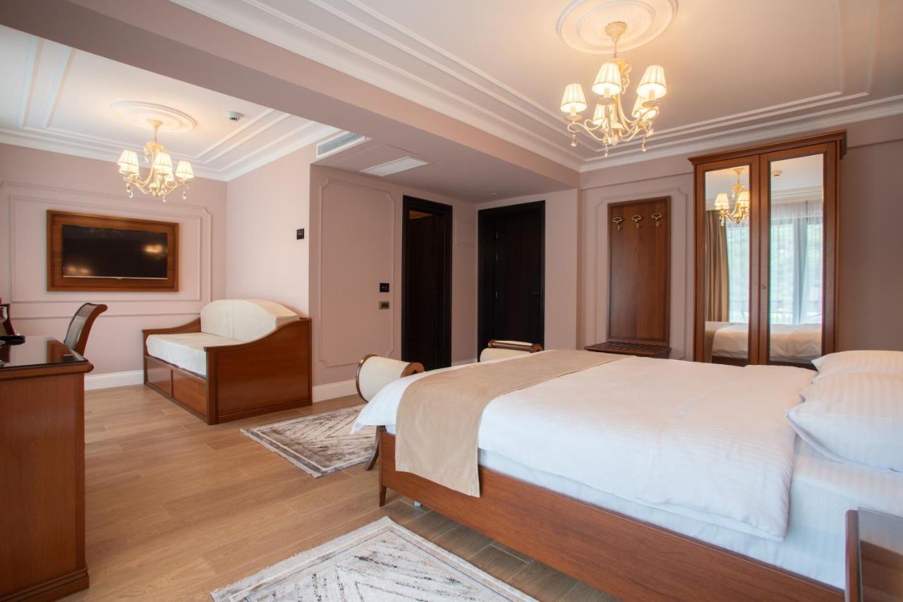 Hotel Gabriela Vişeu de Sus Zewnętrze zdjęcie