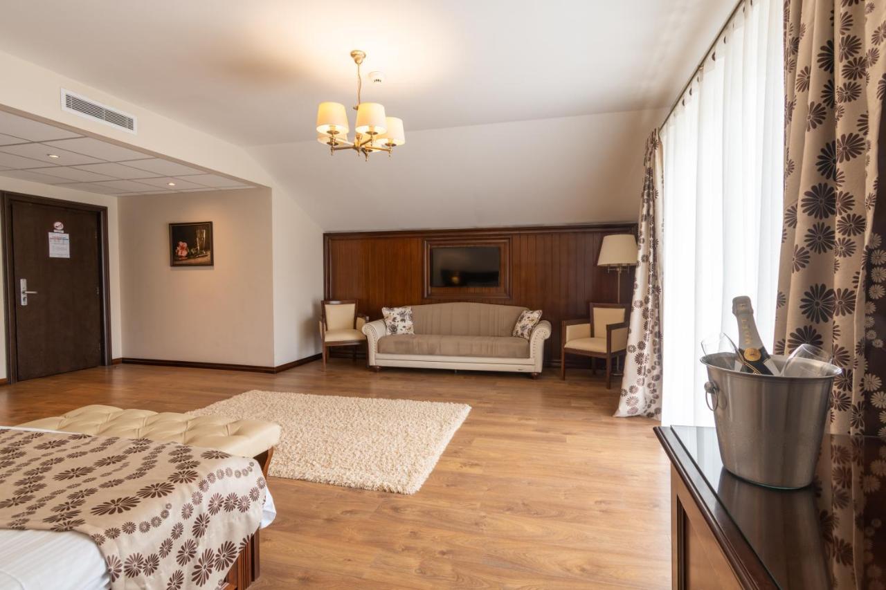Hotel Gabriela Vişeu de Sus Zewnętrze zdjęcie
