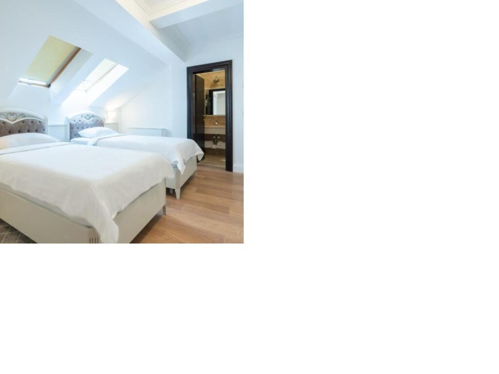 Hotel Gabriela Vişeu de Sus Zewnętrze zdjęcie