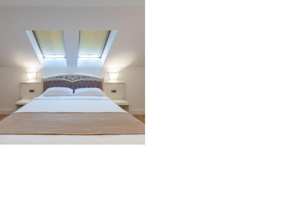 Hotel Gabriela Vişeu de Sus Zewnętrze zdjęcie