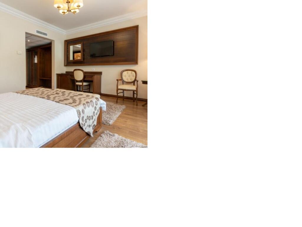Hotel Gabriela Vişeu de Sus Zewnętrze zdjęcie