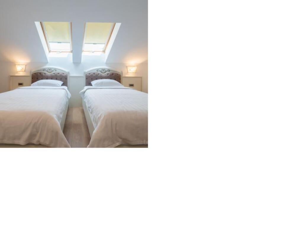 Hotel Gabriela Vişeu de Sus Zewnętrze zdjęcie