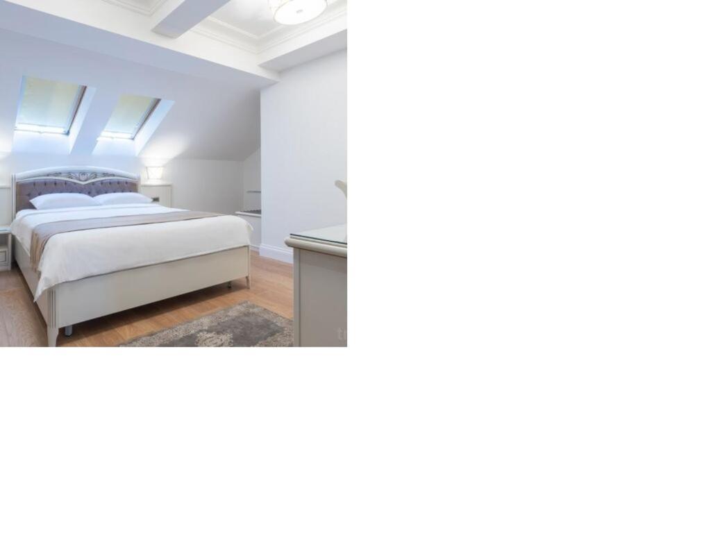 Hotel Gabriela Vişeu de Sus Zewnętrze zdjęcie