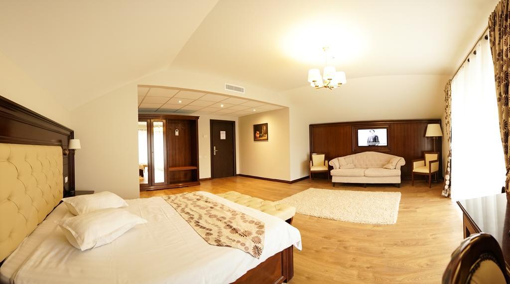 Hotel Gabriela Vişeu de Sus Zewnętrze zdjęcie